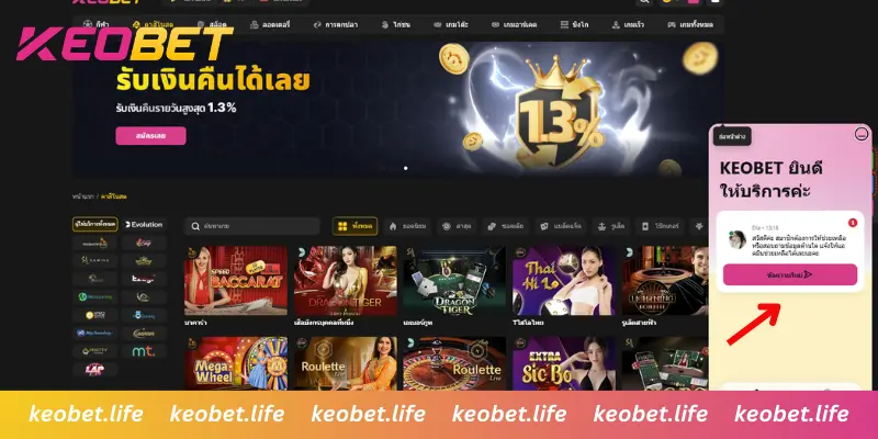 พิมพ์ปัญหาและส่งคำขอช่วยเหลือ