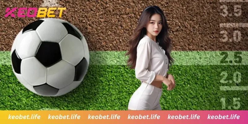 เจาะลึกสถิติและปัจจัยสำคัญก่อนเริ่มเกม